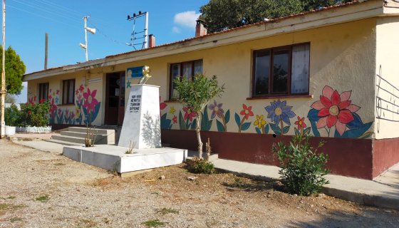 Bergama İzmir Köy Okulu Tadilatı